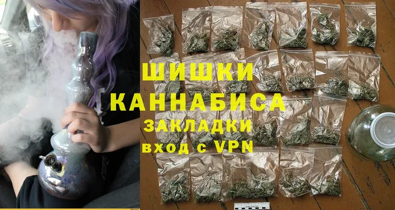 Шишки марихуана Amnesia  магазин продажи   Бакал 